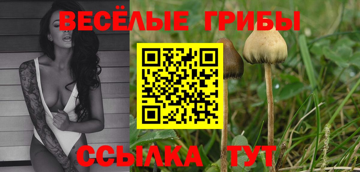 закладки  Псилоцибиновые грибы прущие грибы  Псилоцибиновые грибы мухоморы  Вход с VPN  Новошахтинск 